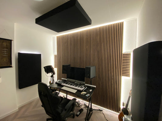 Plafond ceiling paneel zwart 100x60cm