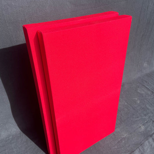 Akoestisch paneel, rood 100x60cm