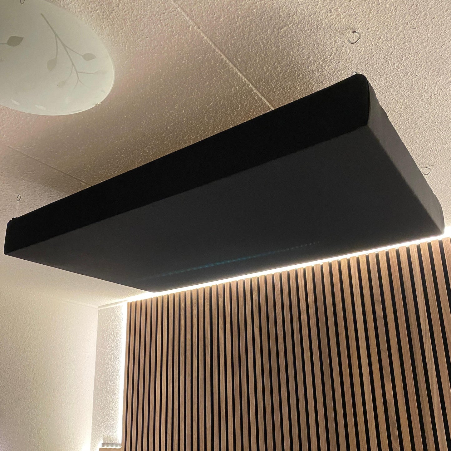 Plafond ceiling paneel zwart 100x60cm
